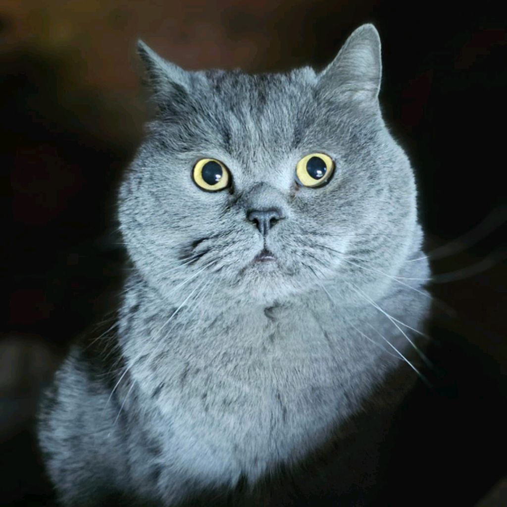 Журавлина