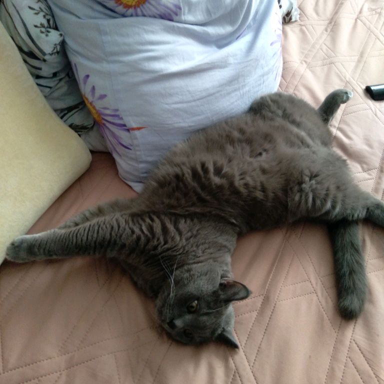 Юрий
