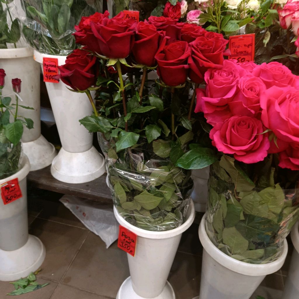 Карина