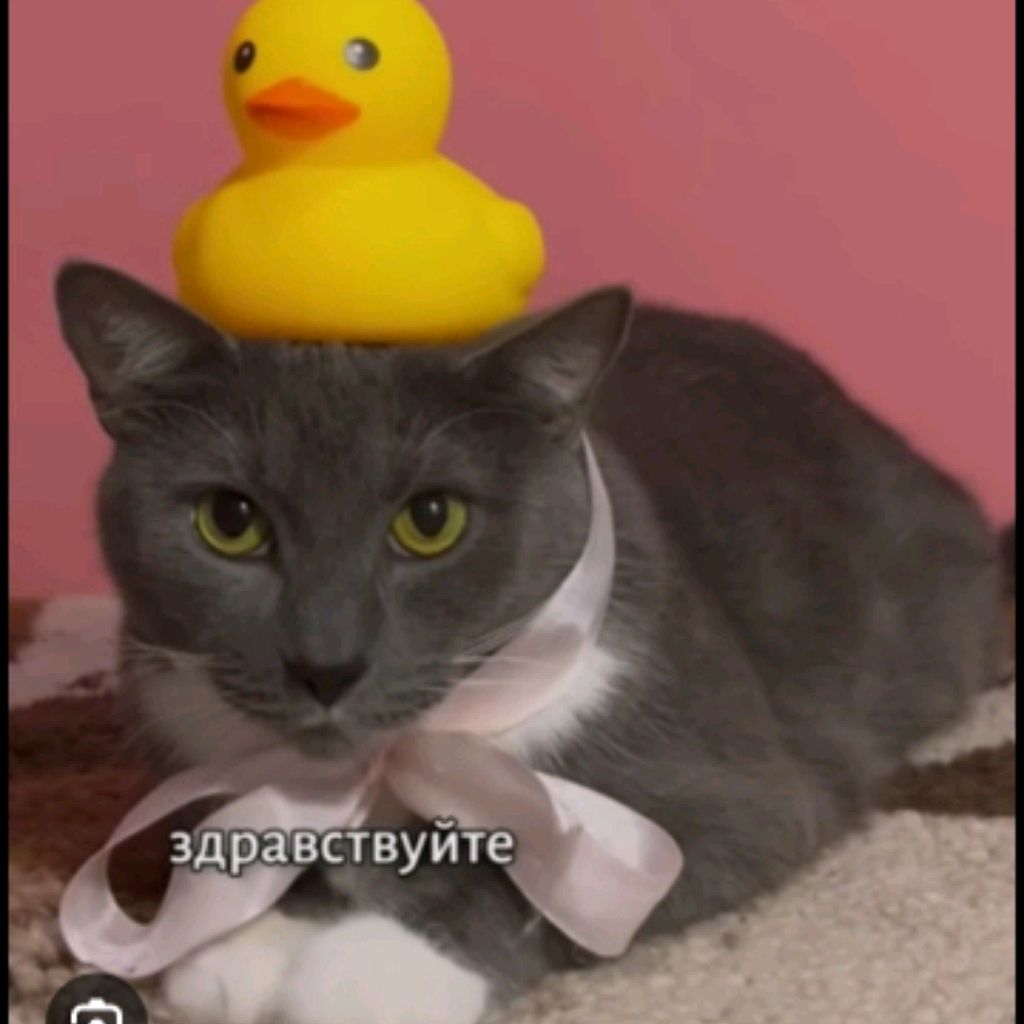 Лотков Кря🐈⬛🐤𓅭𓃠
🏿🏿🏿🏿🏿🏿🏿🏿
🏿🏿🏽🏽🏽🏽