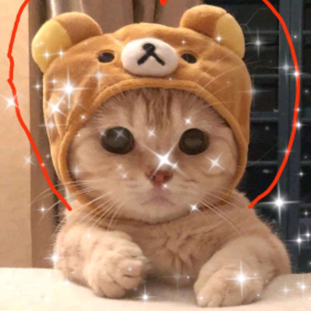 Милашка Мяу 🌼🌼🌼