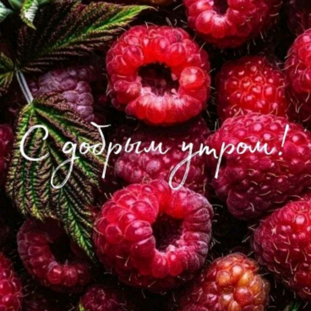 Wреале.RU