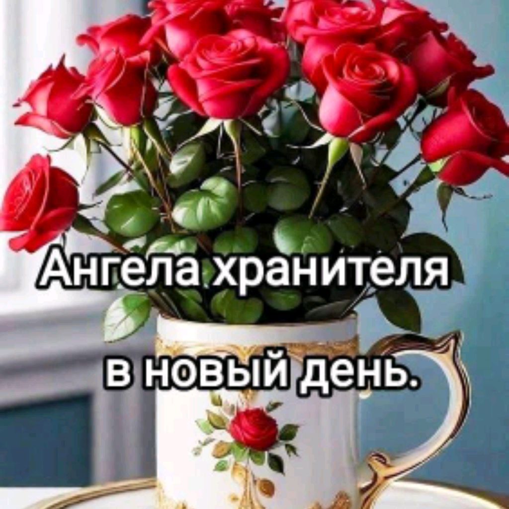 channel35845646