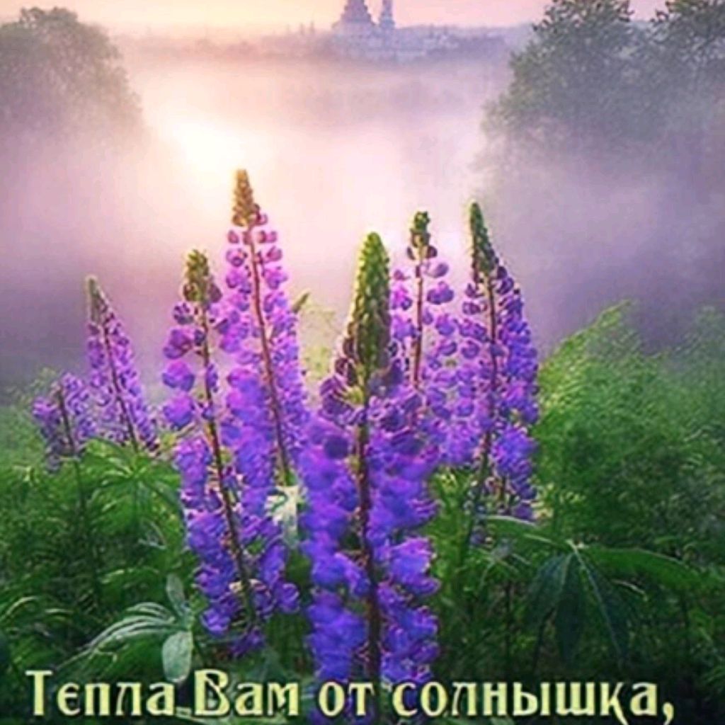 Вова87
