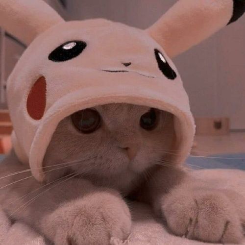 Куся