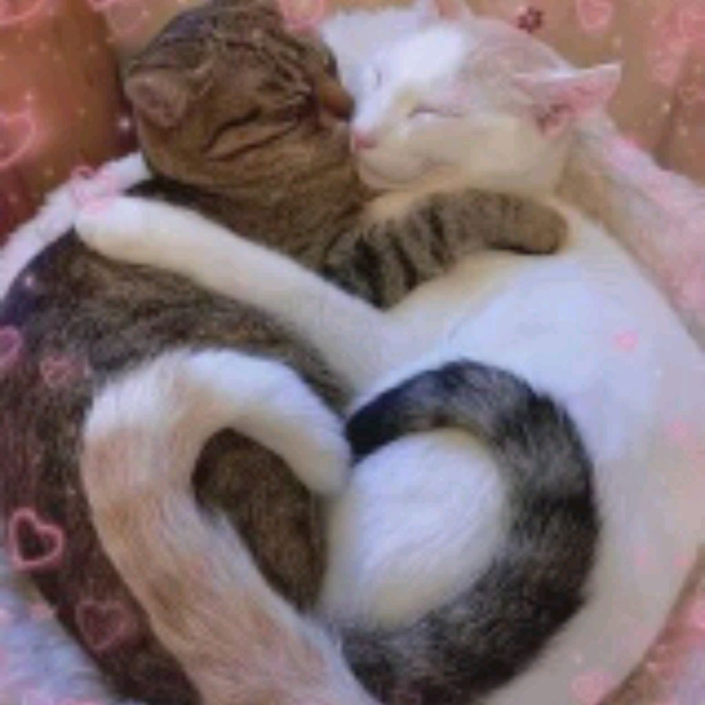 Лиля_1234567890_