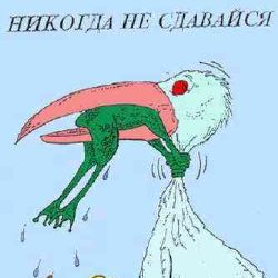 Всеслава