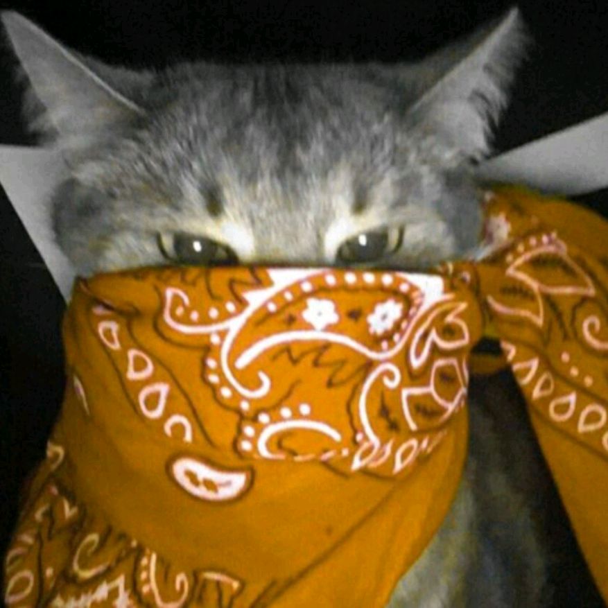 Чо Смотришь