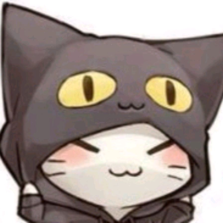 Kotuk