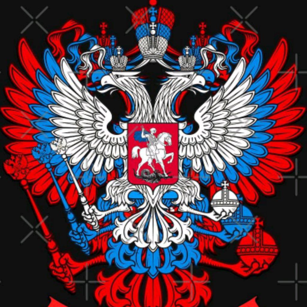 IntroВерт
