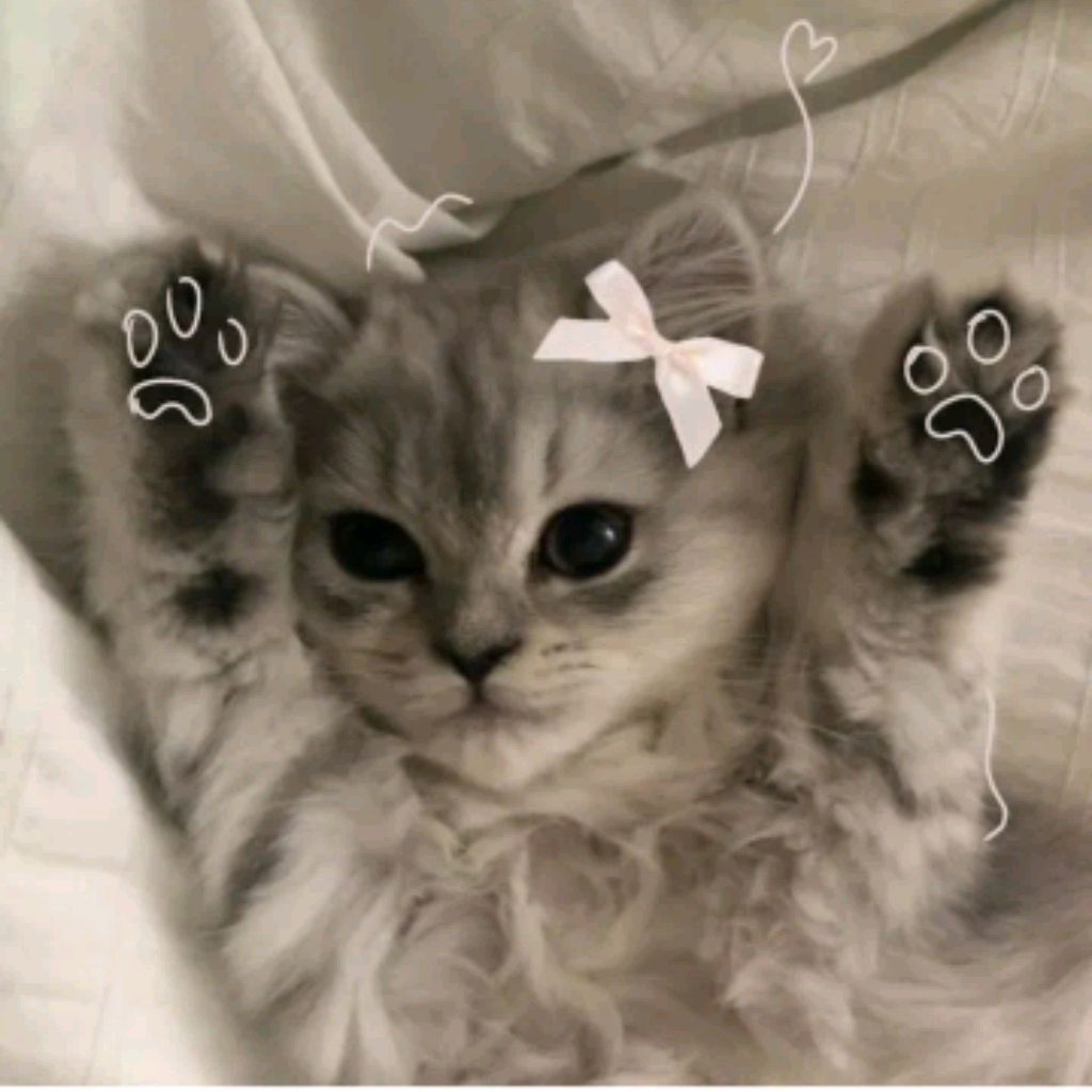 Просто Киса;3