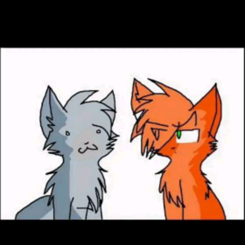 Merza_Cat