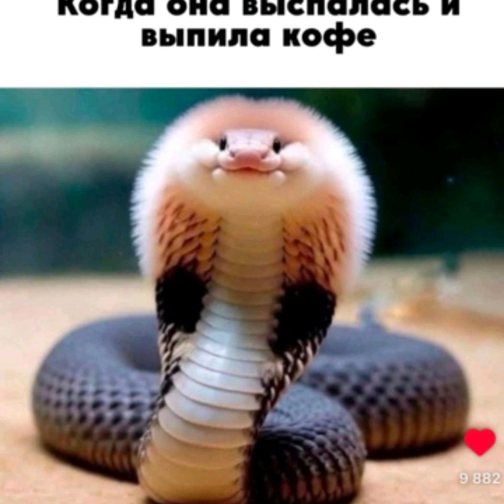 🥰
