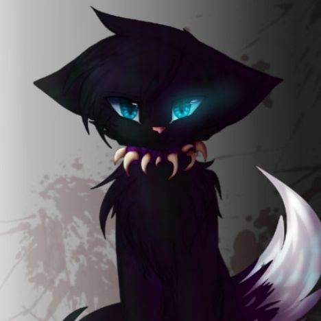 Cat!🩷💜🩷💜