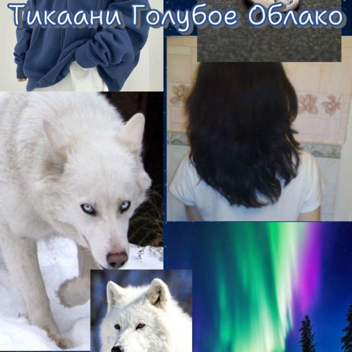 Tikaani