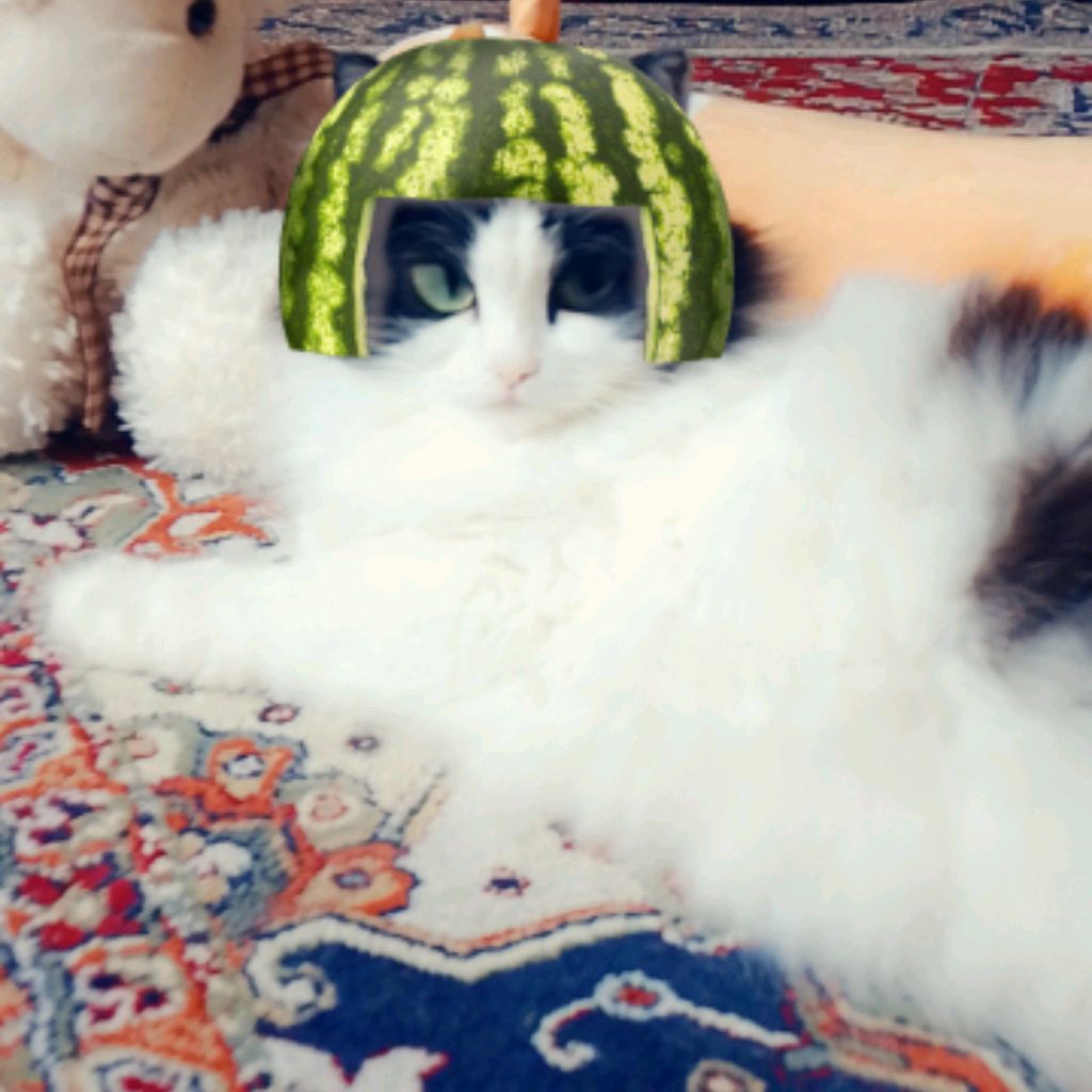 😻Маруся Крутуся😸