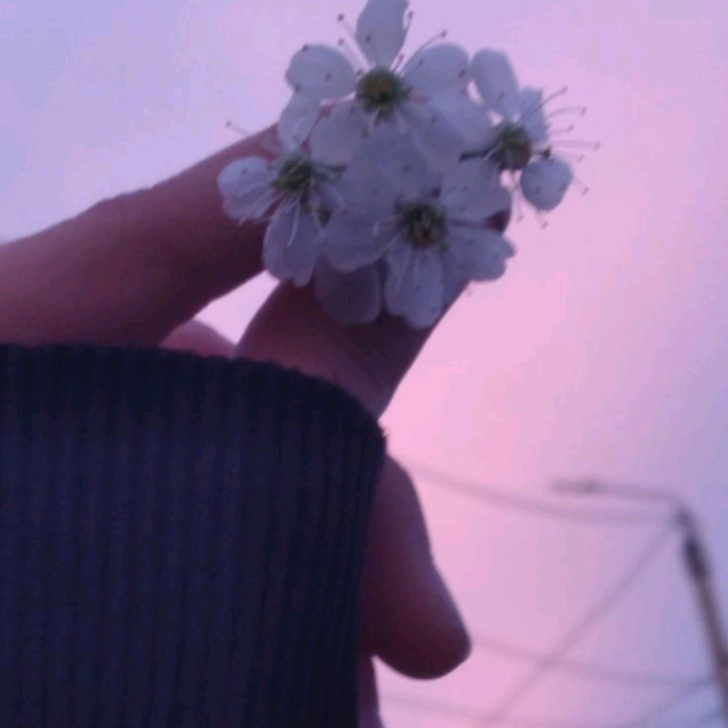 Diana🎀