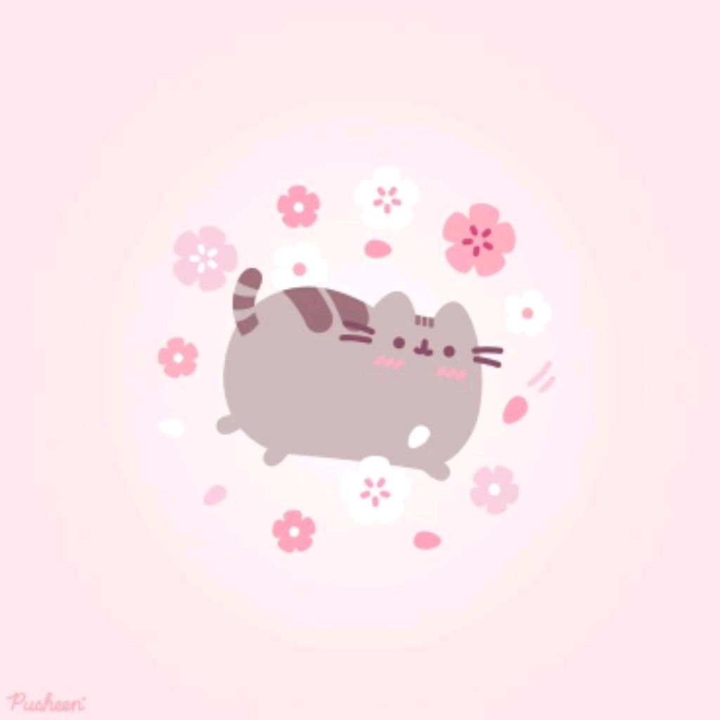 ♡♥︎𝙿𝚞𝚜𝚑𝚎𝚎𝚗♥︎♡
