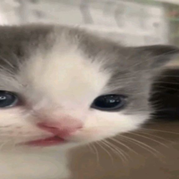 Жэка