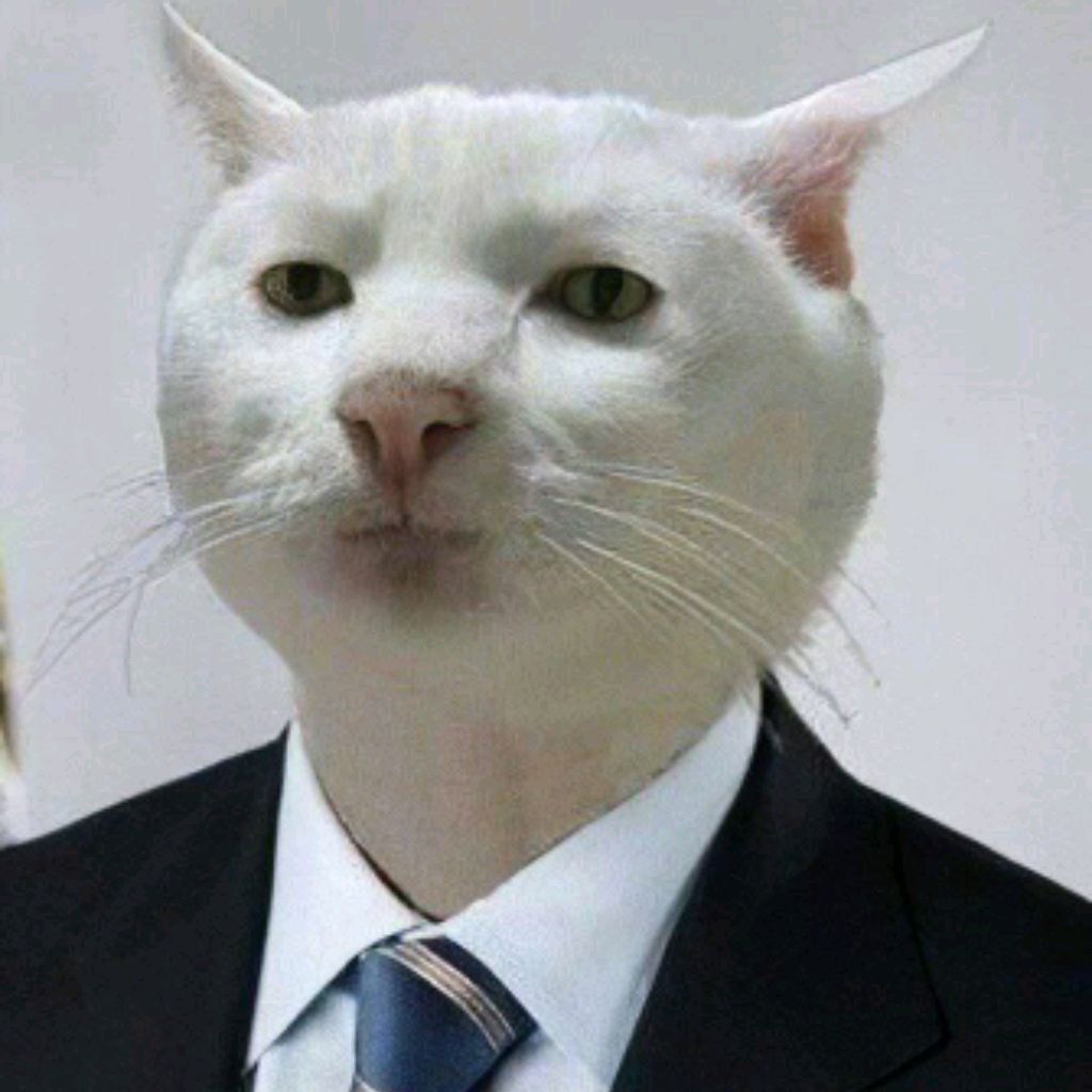 Жиза