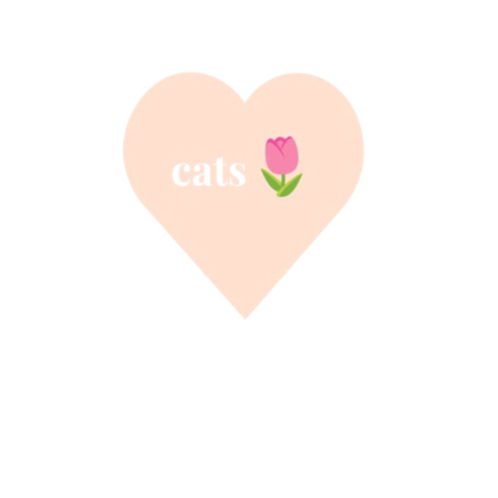 Истинная Я🦭🌷