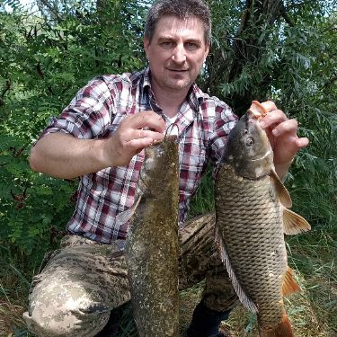 Вячеслав Сердюченко