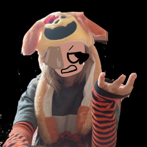 DogDay_zdy