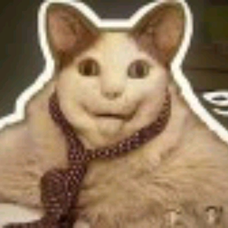 Сисус