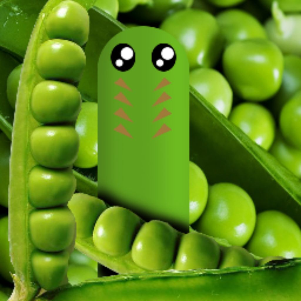 Гарошик