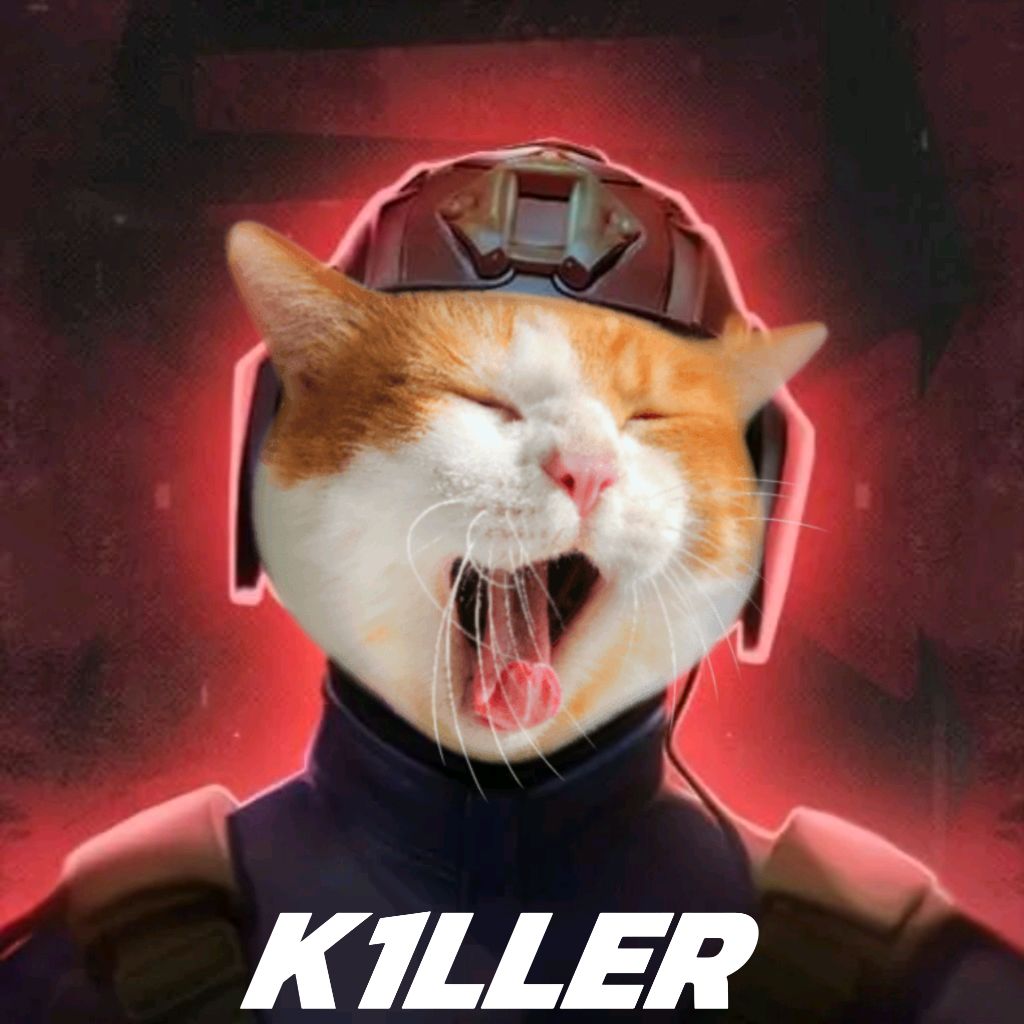 K1LLER😺
