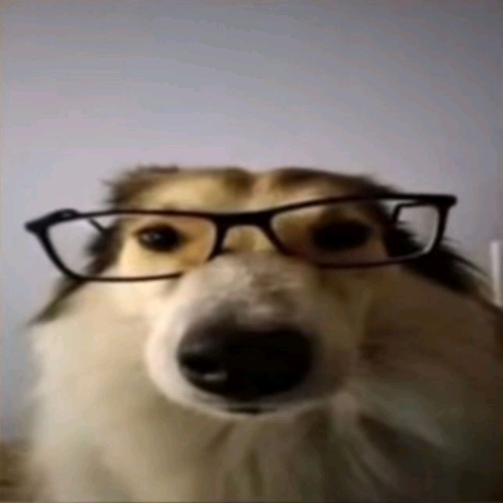 Doggy