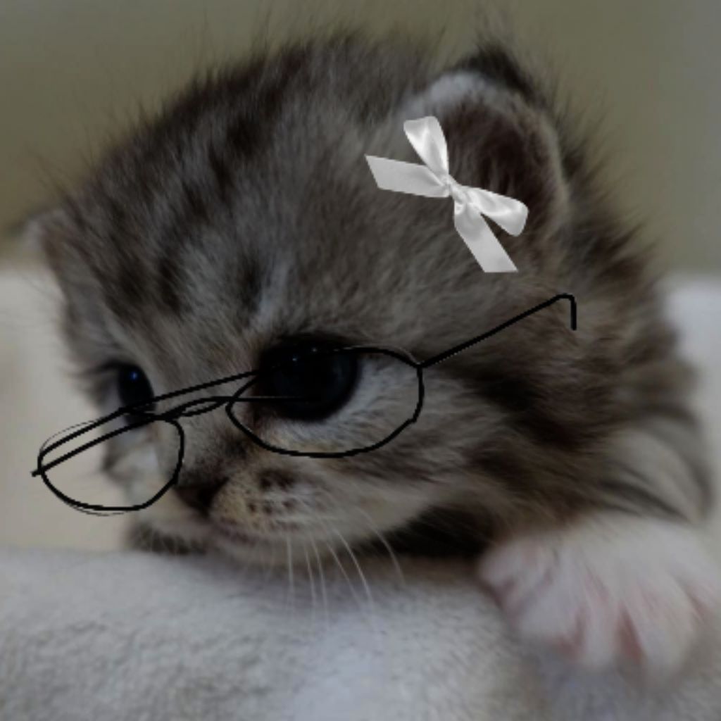 ✨☆КОТЁНОК ЛУЙК ☆✨