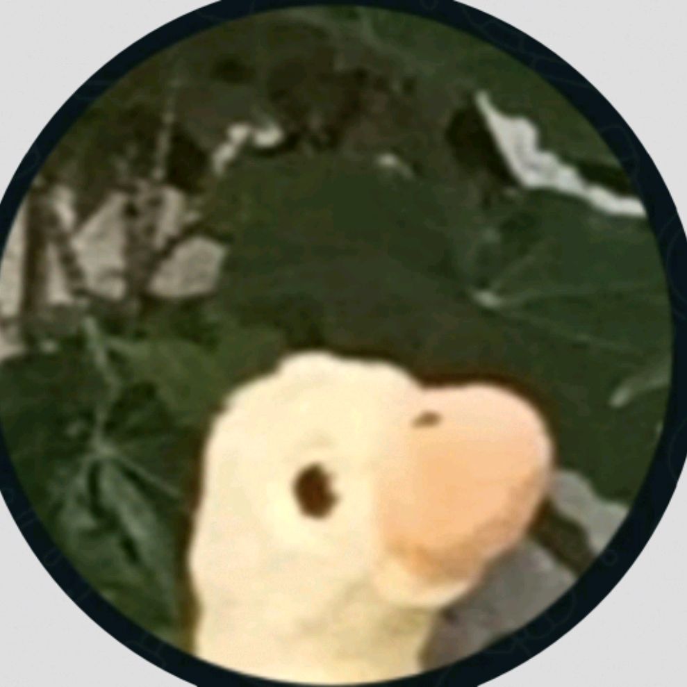 Ninzyabro