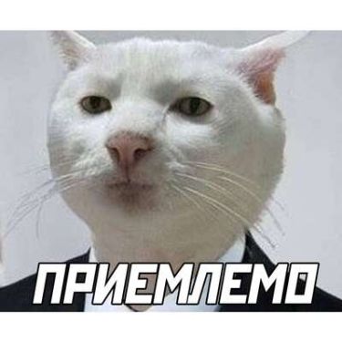 Serega.NN