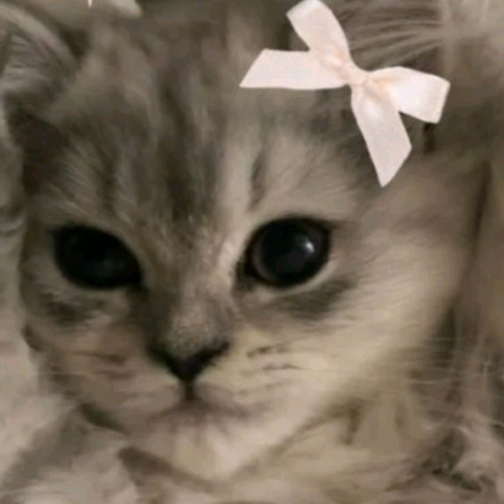 |♡Мяяя, котики!!♡|