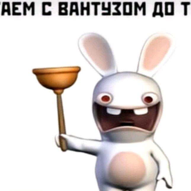 Kiberybitsapomidorov