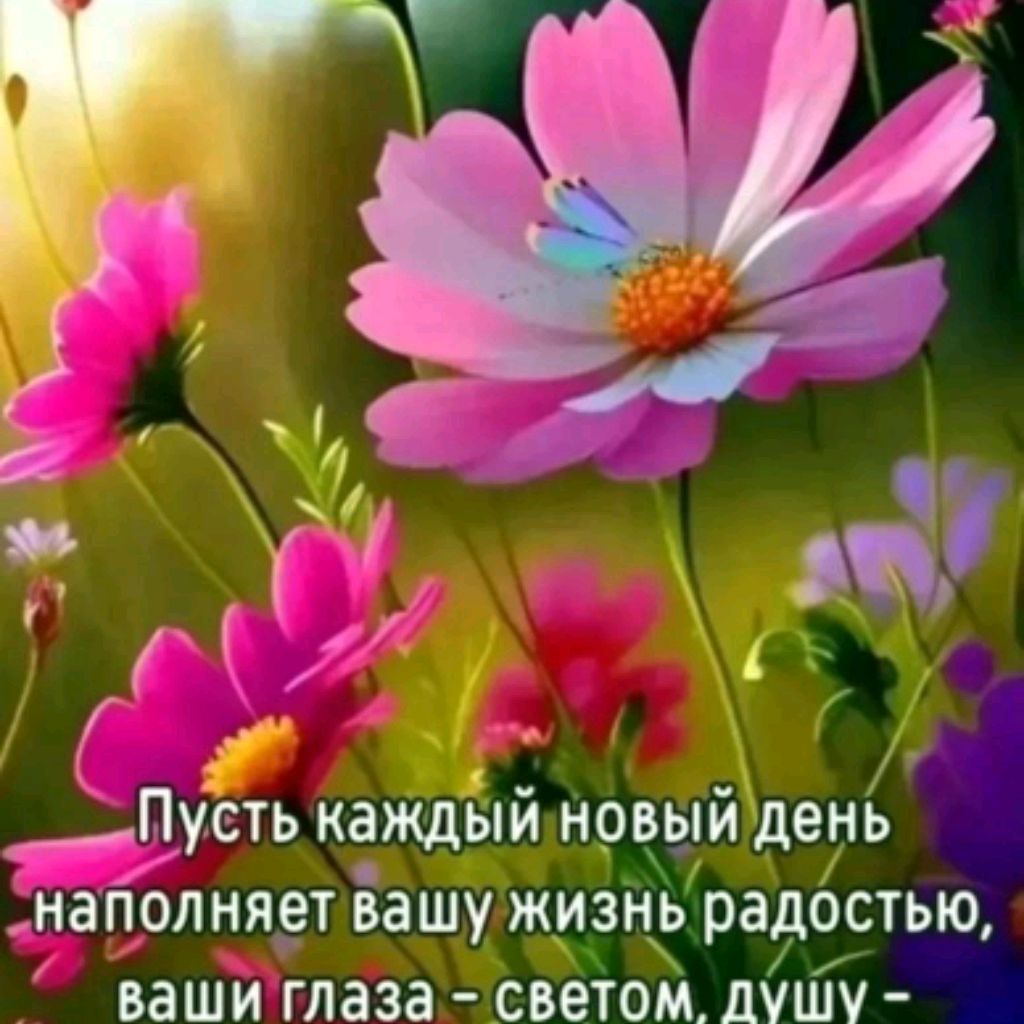 Психолог на пенсии