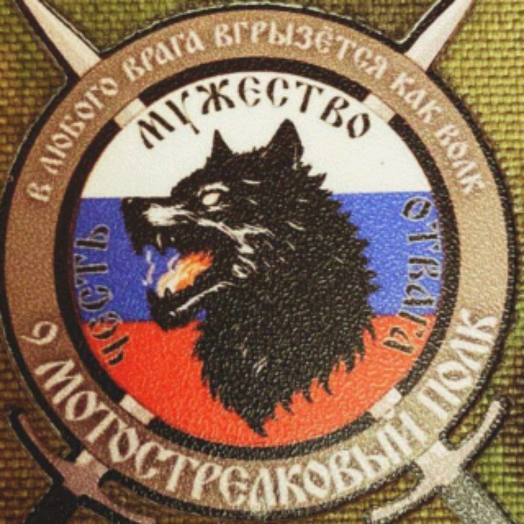 Жизнь Штурмовика