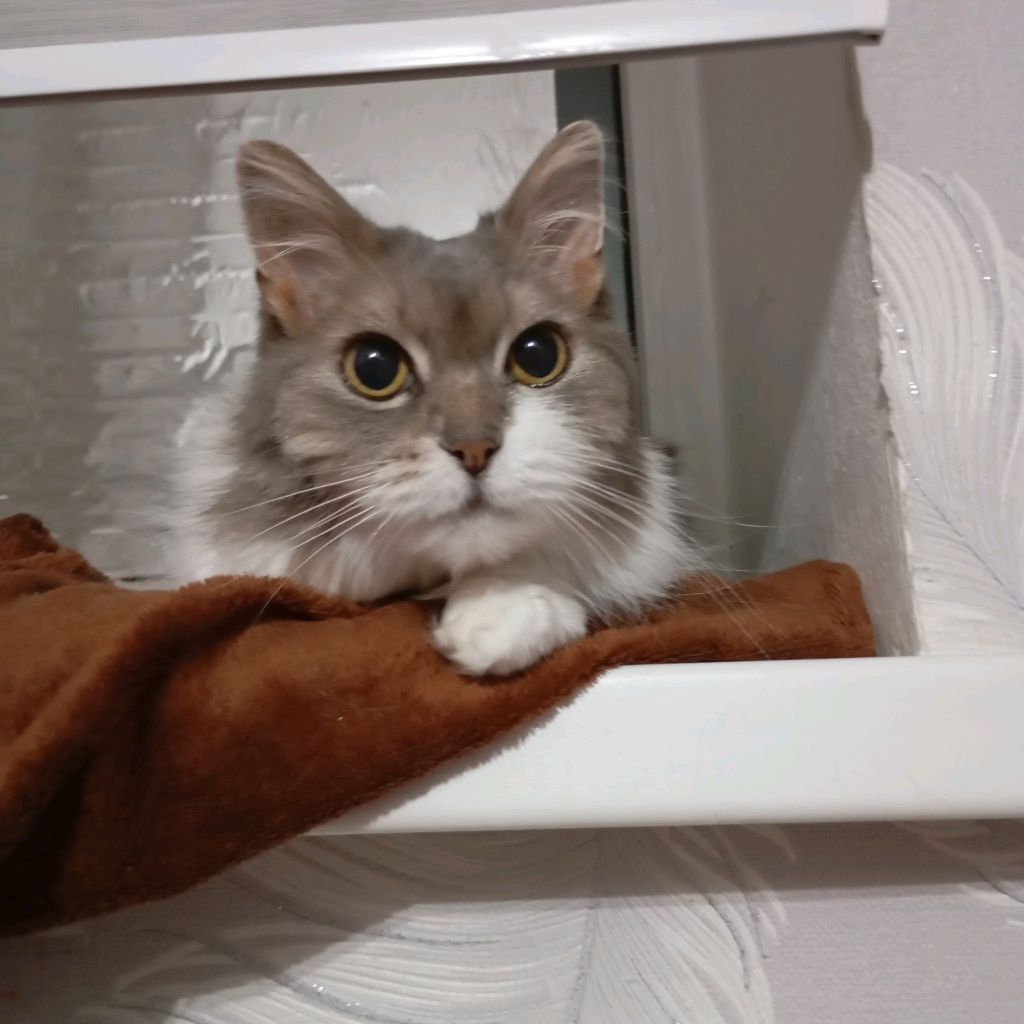 Роблокс Максим