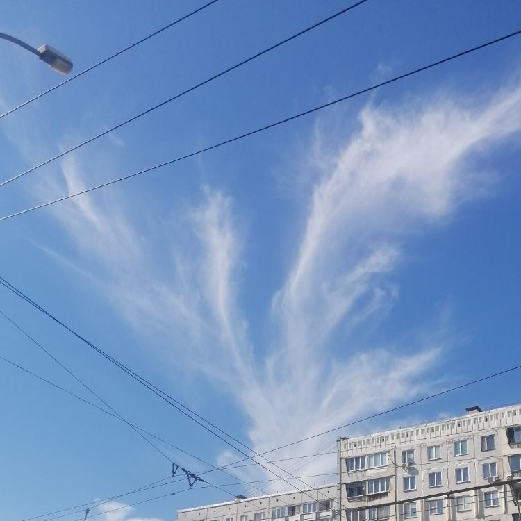 Мария