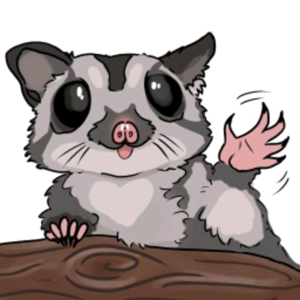 🎀Flying🎀squirrel🎀