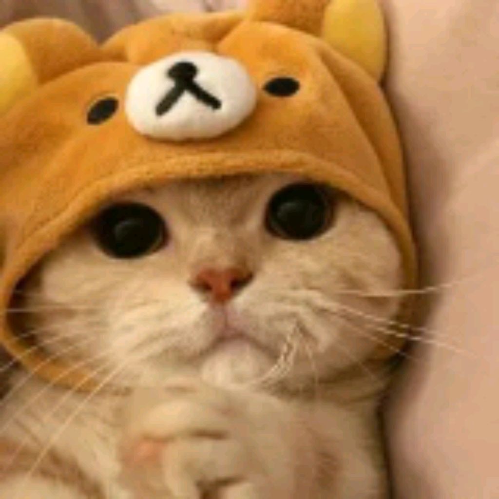 Зефирка_милашка😻