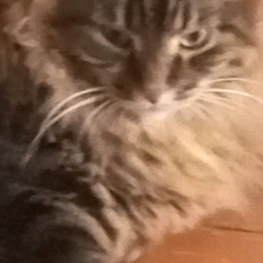 Лабубу