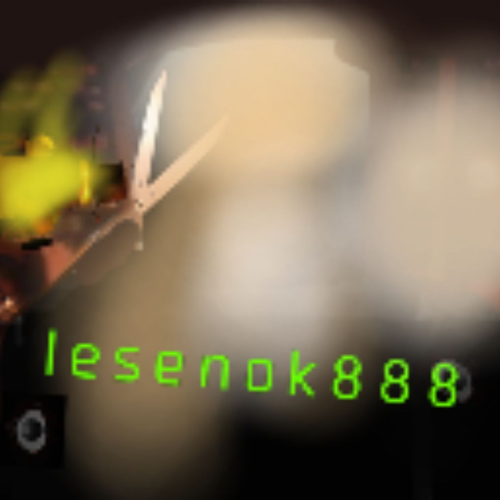 Lesenok888