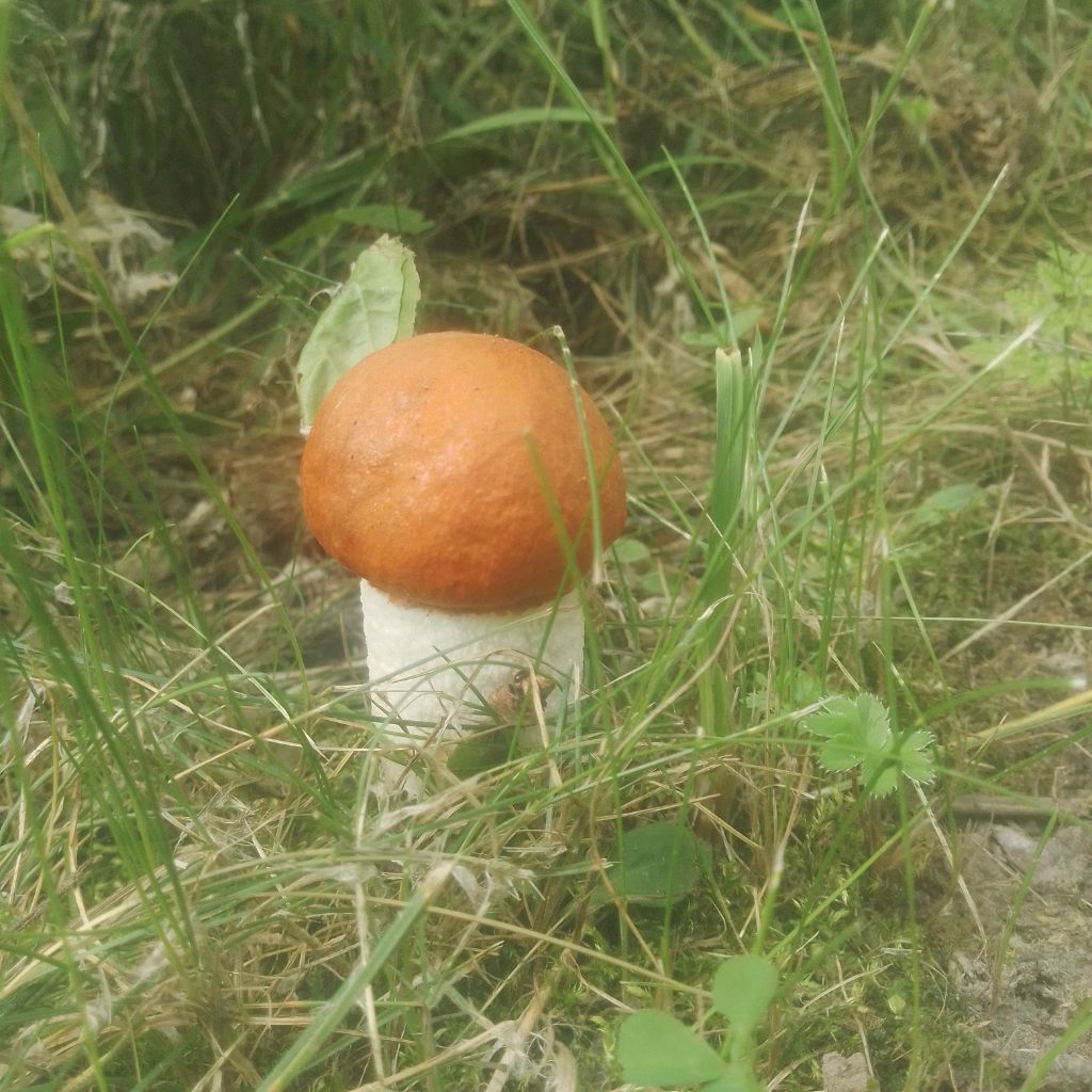 Бабл Ти!🧋