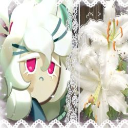 White_Lily🍃