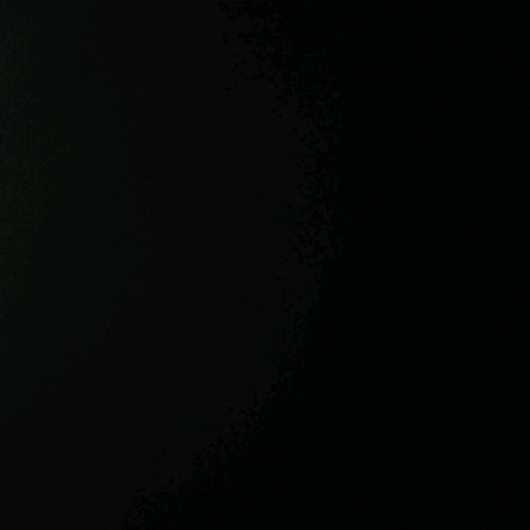 чёрная плагмамба