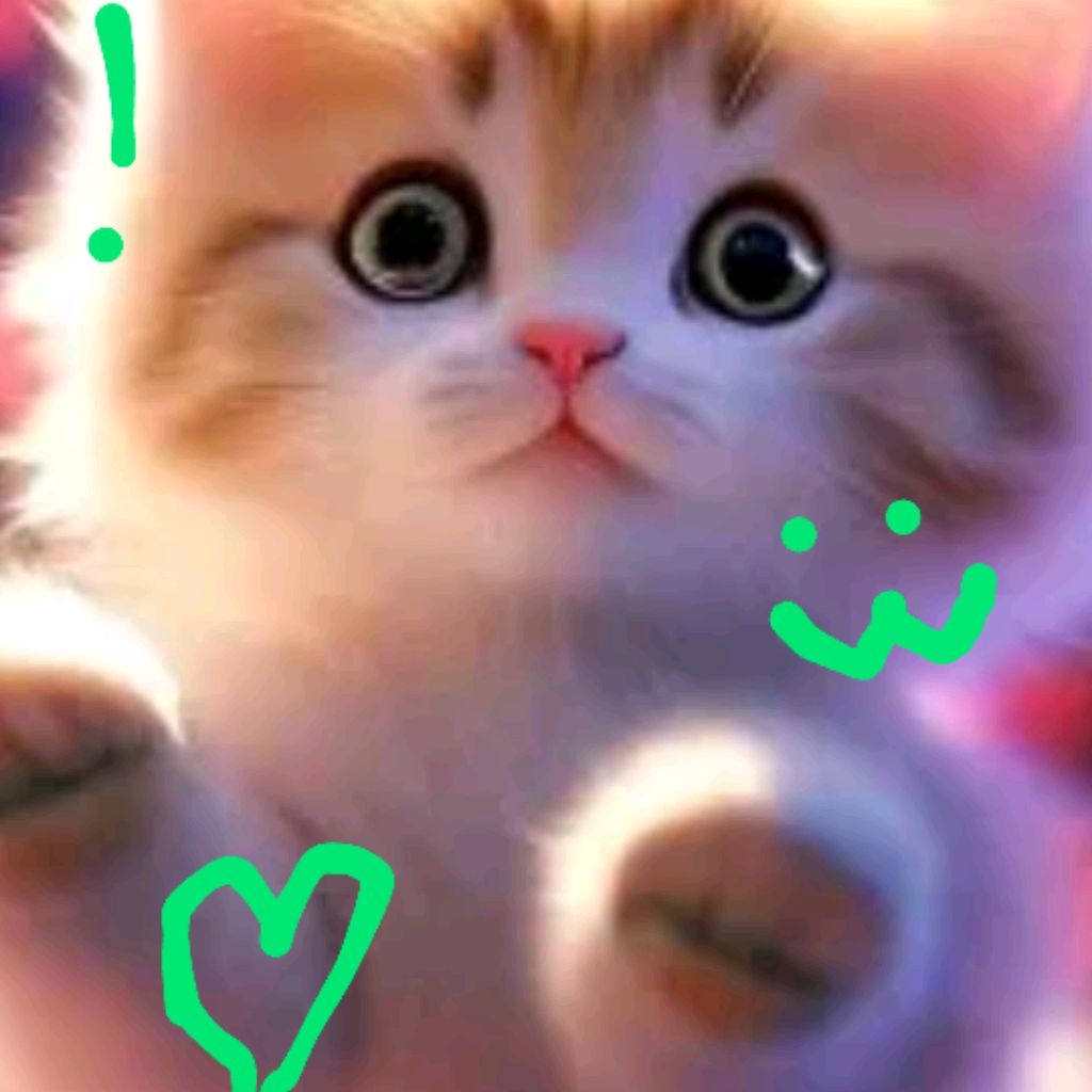 Котёнок🐱🐾🩷 (Реальная Жизнь И Видеоигры)