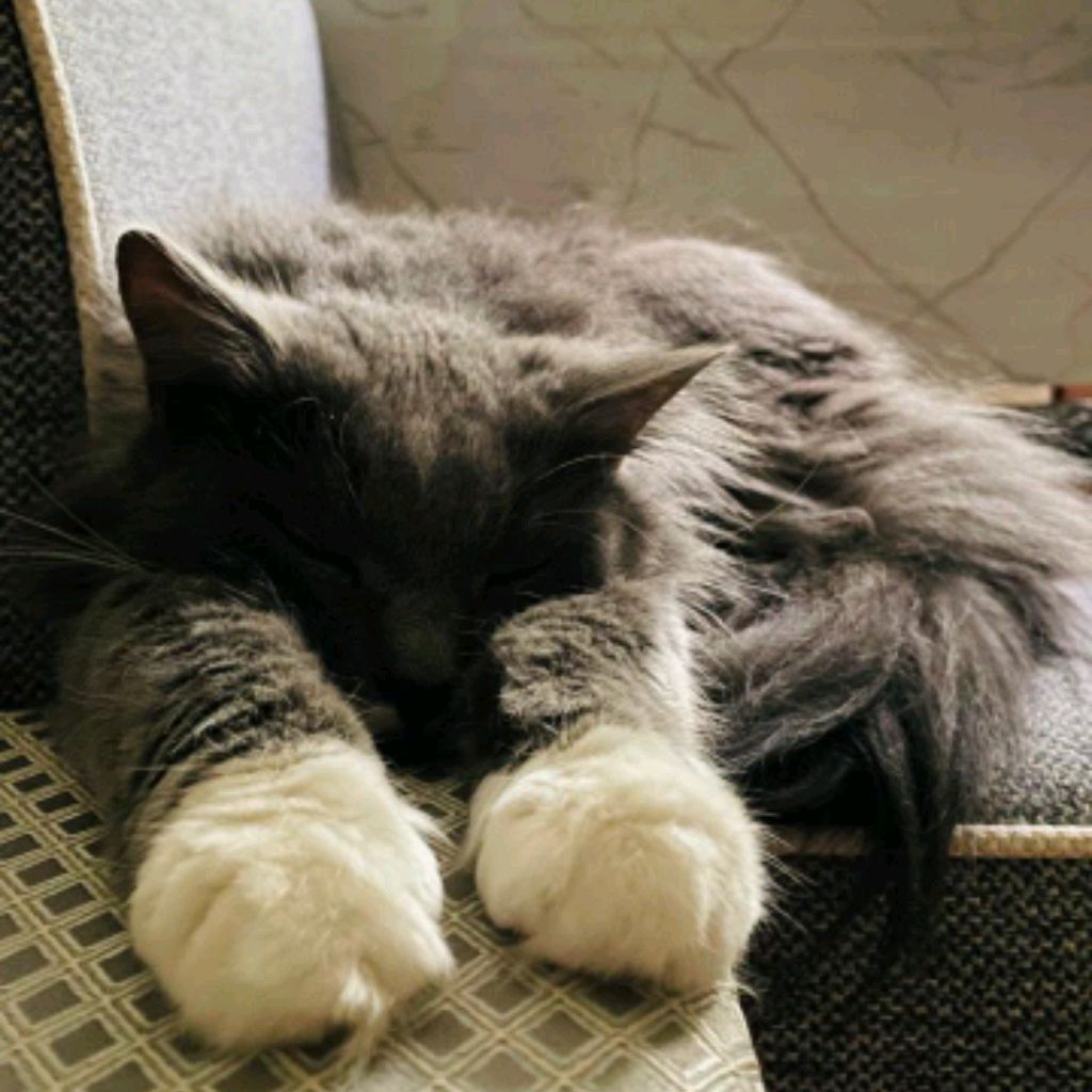 Ульяна