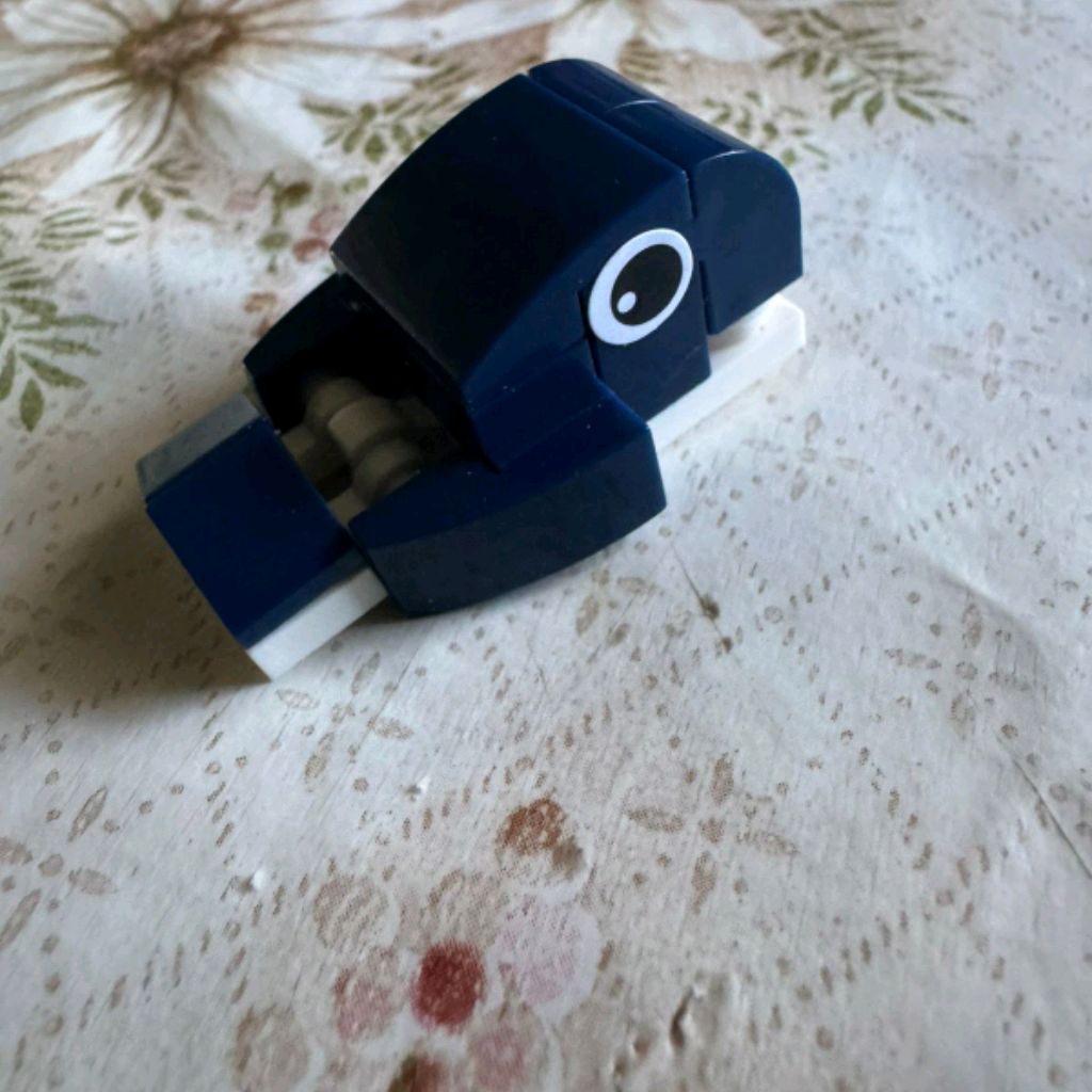 Поля